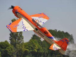 Flugtag 2022